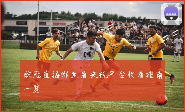 欧冠直播哪里看央视平台收看指南一览